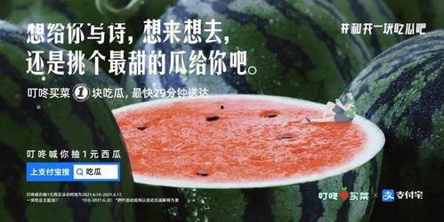 请吃瓜文案,一场吃瓜群众的狂欢盛宴