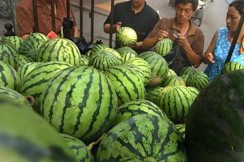 卖西瓜吃瓜,卖瓜与吃瓜的欢乐时光