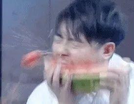 无处吃瓜的猹,无处吃瓜的悬疑之旅