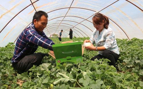 梅河公园吃瓜,畅享清凉时光