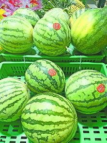 武汉吃瓜免费网站,揭秘城市美食圈的秘密花园