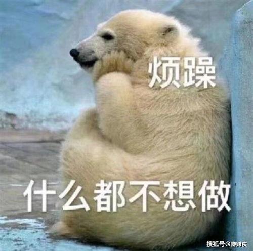 潇洒吃瓜群众图片,揭秘网络热议背后的趣味与真相