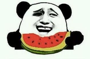 吃瓜的实力,揭秘吃瓜界的实力派