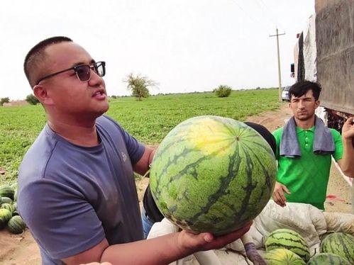 每日吃瓜合集,盘点娱乐圈新鲜事,揭秘幕后真相