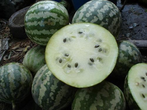 绿宝瓜怎么炒着吃,家常美味轻松学