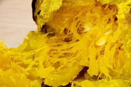 小粉吃老白瓜,一场味蕾的奇妙邂逅