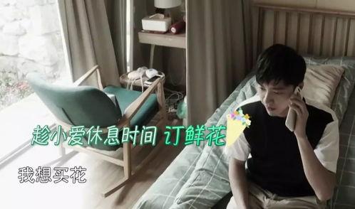 吃瓜情报媛,网络红人的崛起与影响力