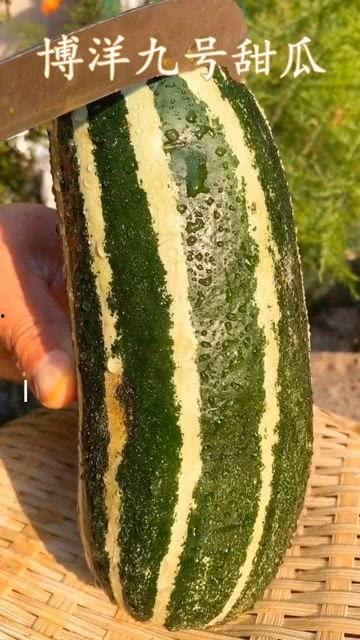 现在有什么瓜吃,揭秘明星们的幕后故事，让你一饱眼福！