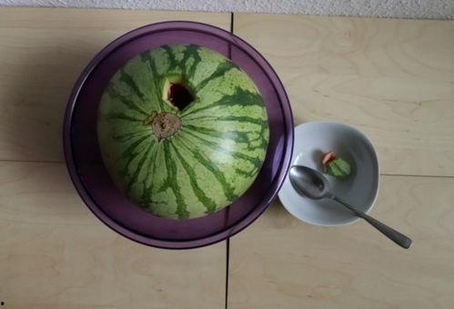 国家近期热门吃瓜事件,真相与舆论的碰撞