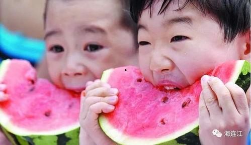 吃瓜就要吃瓜心,探寻瓜心独特魅力